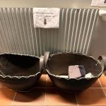 Urlaub mit Hund in Schweden_08-2025 (14)