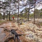 Urlaub mit Hund in Schweden_08-2025 (2)