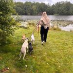 Urlaub mit Hund in Schweden_08-2025 (20)