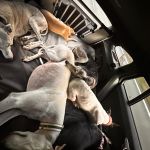Urlaub mit Hund in Schweden_08-2025 (23)
