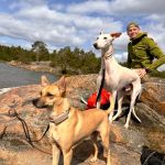 Urlaub mit Hund in Schweden_08-2025 (3)