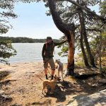 Urlaub mit Hund in Schweden_08-2025 (4)