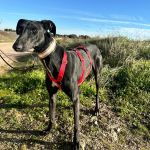 Vera_2026-02-20 at 12-17-12