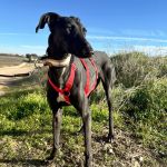 Vera_2026-02-22 at 12-17-12