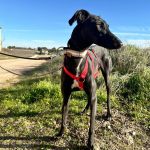 Vera_2026-02-23 at 12-17-13