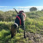 Vera_2026-02-24 at 12-17-13