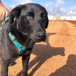 Vini_IMG-20251211-WA0061