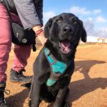 Vini_IMG-20251211-WA0063