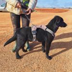 Vini_IMG_20251213_122237