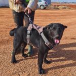 Vini_IMG_20251213_122240