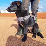 Vini_IMG_20251213_122353