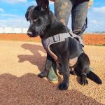 Vini_IMG_20251213_122401_1