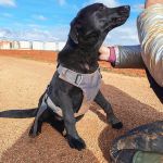 Vini_IMG_20251213_122522