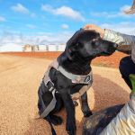 Vini_IMG_20251213_122552