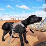 Vini_IMG_20251213_122554