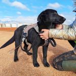 Vini_IMG_20251213_122557