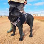 Vini_IMG_20251213_122702_1