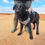 Vini_IMG_20251213_122705