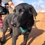 Vini_Vini_IMG-20251211-WA0057