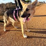 Wanda_img-20251108-wa0040