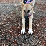 Wanda_img-20251108-wa0041