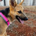 Wanda_img-20251108-wa0047