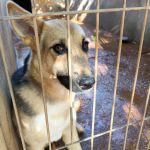 Wanda_img-20251108-wa0131