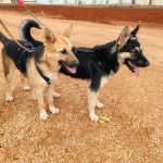 Wanda_IMG_20251115_121202