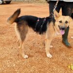 Wanda_IMG_20251115_121211