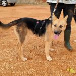 Wanda_IMG_20251115_121216