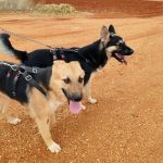 Wanda_IMG_20251115_121232