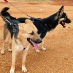 Wanda_IMG_20251115_121233