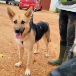 Wanda_IMG_20251115_121341_1