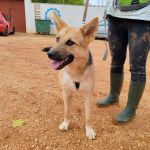 Wanda_IMG_20251115_121343