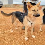 Wanda_IMG_20251115_121348_1