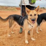 Wanda_IMG_20251115_121350