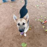 Wanda_IMG_20251116_105502