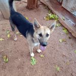 Wanda_IMG_20251116_105527