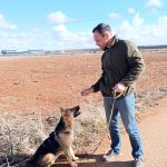 Wanda_IMG_20251117_142815