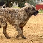 Willy_IMG_7603