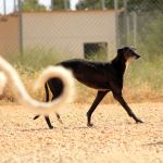 Xena_IMG_5838