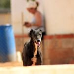 Xena_IMG_5845