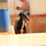 Xena_IMG_5846