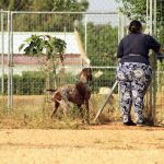 Yago_IMG_6206