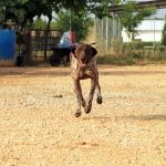 Yago_IMG_6211