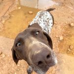 Yago_IMG_6283
