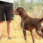 Yama_IMG_5934