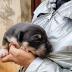 Yang_IMG_20251115_113323