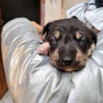 Yang_IMG_20251115_113338