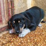 Yang_IMG_20251213_114255